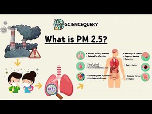 What is PM 2 5?