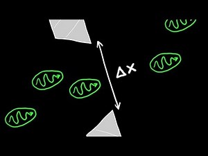 Heisenbergs Uncertainty Principle Explained - Dual Nature of Radiation and Matter Video Lecture - Class 12