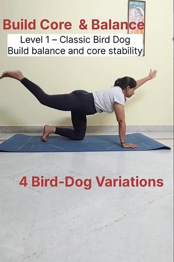Build Core Strength & Balance with 4 Bird Dog Variations (Dandayamana Bharmanasana) #shorts