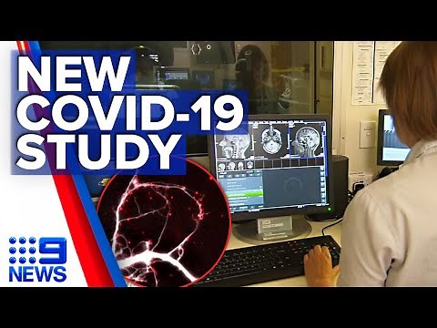 COVID-19 linked to brain shrinkage and tissue damage, study shows | Coronavirus | 9 News Australia