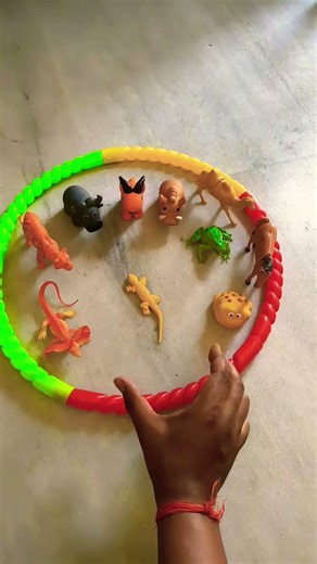 Catch big frogs funny | Try don't laugh | wepwep catching frogs make you laugh #shortsviral