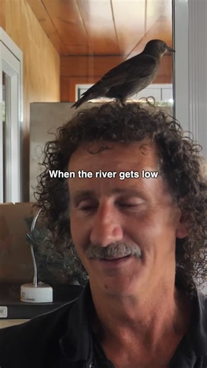 Codey Orgill on Instagram: "“I am the river and the river is me” #bikepackingnewzealand #bikepacking #bikepackingnz #wanganui #bikepackinglife"