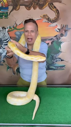 71 reactions · 21 comments | #NoFearNoLimitsNoExcuses: I CAN EVEN TAME A PYTHON. | Mamita Lakwatsera | Facebook