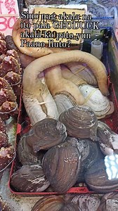 43 reactions · 50 comments | Geoduck. Market day. #reelsfbシ #bonus #ContentMonetization #limaydpeyes #geoduck | Lim-ay D. Peyes | Facebook