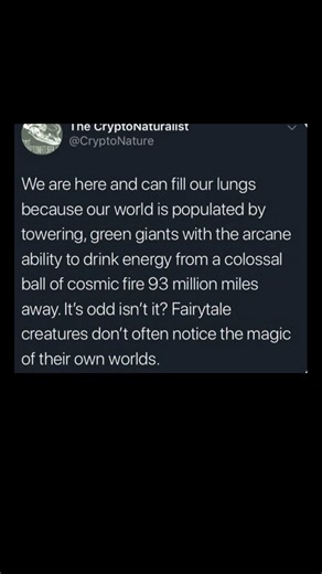 trees harness the sun's magic | Subscribe for more #motivation 😊👍