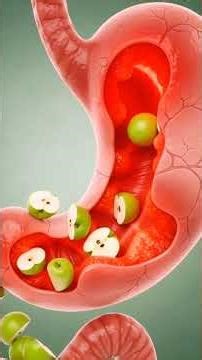 “What Happens Inside Your Body When You Eat an Apple”