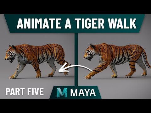 Animate a Tiger Walk in Maya 2024 - Full follow along guide (Final Part)