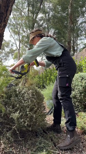 5.1K views · 17 reactions | Pruning made easy with RYOBI Chloe uses the 18V ONE+ Hedge Trimmer and Telescopic Pole Pruner to keep this garden looking 奈 Find the perfect pruning tool for your garden today - https://bit.ly/45lIzQJ #RYOBIau #BatteryPowered #RYOBImade #powertools #hedgetrimmer #gardening | RYOBI Australia | Facebook