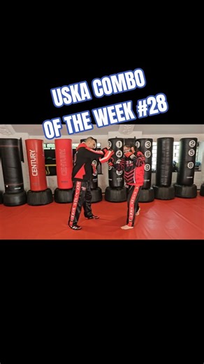 USKA Kickboxing Combination Of The Week #28