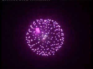 fireworks peony.mpg