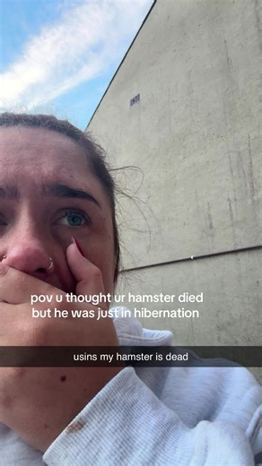 Understanding Hamster Hibernation Phases