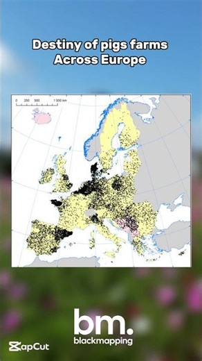 Density of pig farms across Europe #mapping #geography