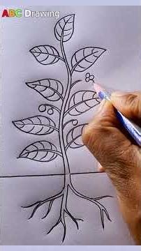 Drawing of a Beautiful Tree Sapling #art #shorts