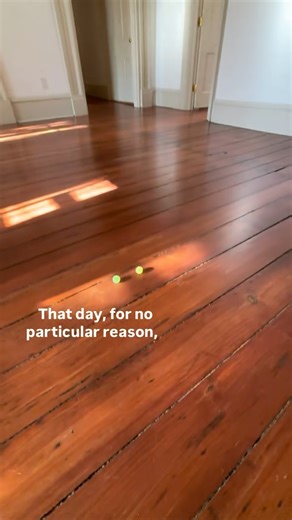 Hartford Home Inspections on Instagram: "Roll with it! #hartfordhomeinspections #charleston #homeinspection #charlestonsc #homeinspectionexperts"
