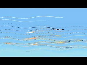 Bingo Intro In Super Duper High Pitched