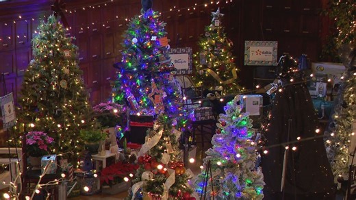 Portland Festival of Trees kicks off to support Children's Dyslexia Center