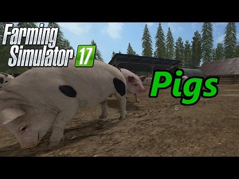 Farming Simulator 17 Tutorial | Pigs