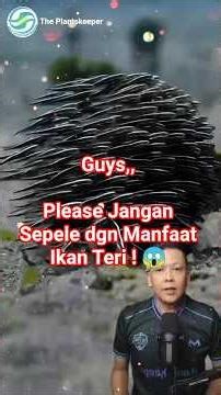 Inilah Manfaat & Kandungan Ikan Teri 🤔 #fyp #unik #knowladge #edukasi