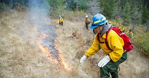 Elemental: Reimagine Wildfire