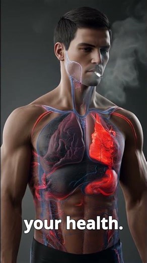 What Happen to Your Brain When You Smoke Inside The Human #body #humanbody #anatomy