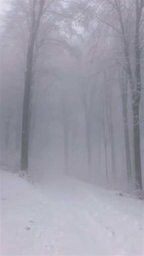 Who taught you fear? In a Romanian winter forest, fog presses in like a nosy aunt at a village wake, close enough to smell your thoughts. This is the kind of whiteness that cancels distance, turns trees into rumors, and makes even the bravest boots hesitate. Locals don’t call it fog anyway; they call it a thinking weather, the sort that listens. You walk in, and the forest leans closer, as if deciding whether you’re worth remembering. Village wit says the fog arrives when the land wants privacy.