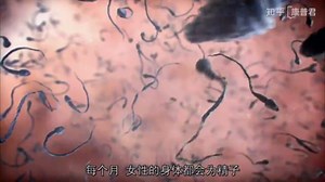 神级科教性教育片，看完你会对生命有更深层次的理解，敬畏生命！