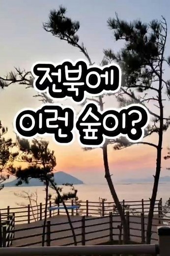 바다와 숲이 함께 힐링 스팟 #신시도자연휴양림 #군산 #여행 #일상 #힐링 #숲캉스 #전북 #휴식 #자연휴양림 #행복 #가볼만한곳 #바다 ‪@polpol_on_뽈뽈거리는중‬