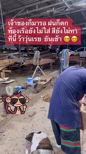 50K views · 934 reactions | Bird Bbc on Reels | Facebook