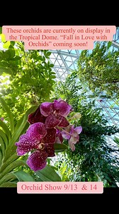 Mitchell Park Domes on Reels