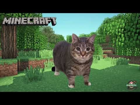 OIIA Cat in famous places