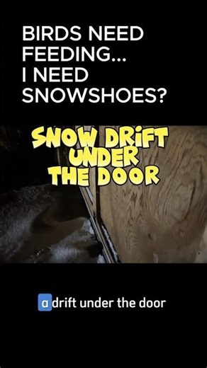 Snow blocked the door but the chickens didn't care #homestead #winter #chickens