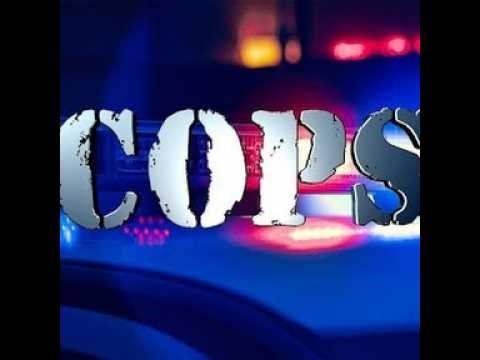 COPS S01E01 4/5