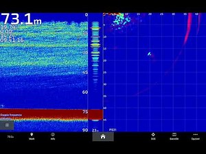 Garmin Panoptix Ps31