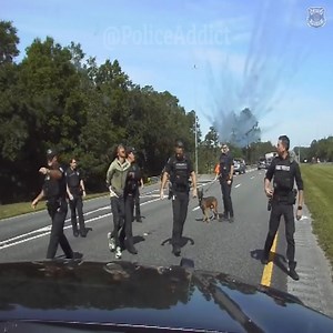 Police K9 Bites Officer After Wild High Speed Pursuit Florida Highway Patrol | Love some one