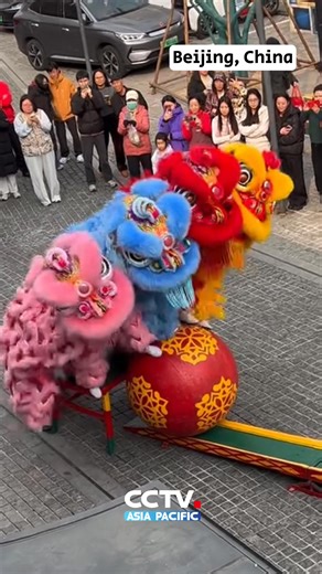 🦁A Chinese lion dance performance has gone viral recently, as four lions stepped on an embroidered ball together and walked across a seesaw. The lion dance performance amazed everyone! #trending #liondance #China 🦁近日，一段高难度 #舞狮 表演走红网络，四狮同踩绣球过跷跷板，惊艳众人！#中国 Video via Douyin | CCTV Asia Pacific