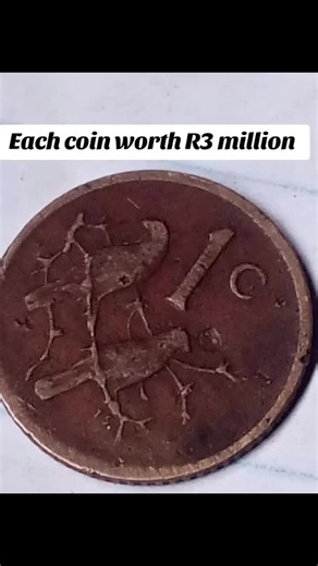 The Art of Coin Collecting: A Beginner's Guide