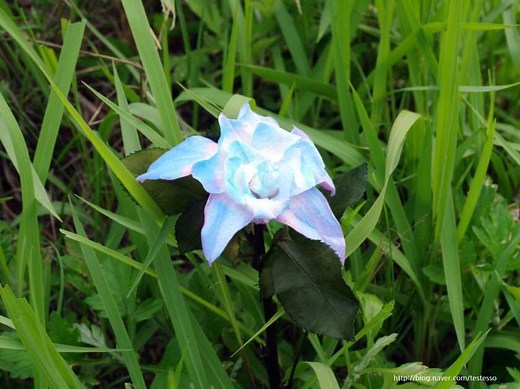 Story behind 'The Truth Untold' - BTS | ARMY's Amino