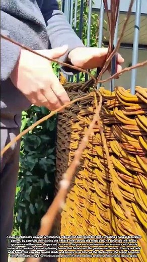 Enhancing Iron Garden Fences with Artistic Ivy Weaving for Natural Beauty and Privacy