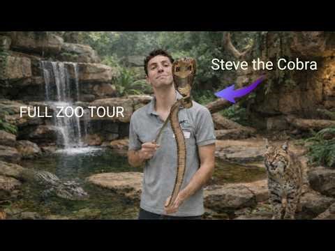 Full venomous snake zoo tour!