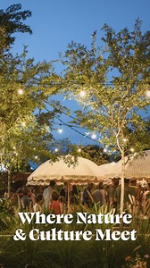 🌳 Where Nature & Culture Meet 🎨 Keep up with events and discover where to go in Gainesville Alachua County, what to see, where to eat, and more at VisitGainesville.com Alachua County offers world-class museums, captivating live music, and over 100 miles of trails throughout eight state parks. Enjoy outdoor activities like hiking, biking, birding, or gliding through the area’s crystal-blue freshwater springs. Explore beloved festivals, craft breweries, museums, local vintage markets, performing