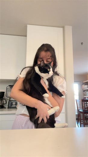 scaredy cat 🐈‍⬛ | Cat Screaming