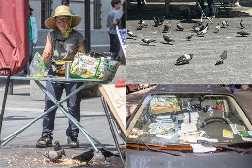Exclusive | Mystery pigeon lady is snatching sickly birds at NYC museum, leaving locals on edge: ‘Some die’