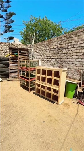 Pedidos entregados jaula en tres pisos y módulo con 16 nidos para gallinas ponedoras