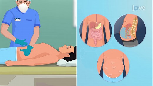 Video: Assessment of the Abdomen II: Percussion