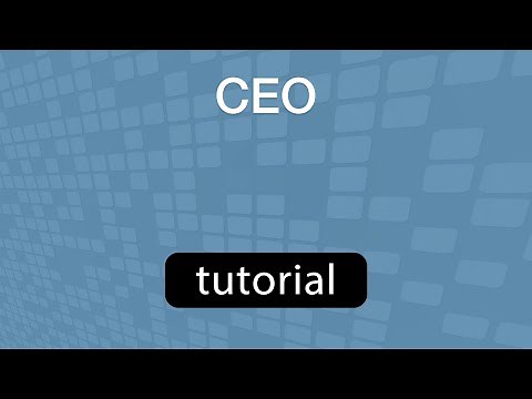 GoVenture CEO - Training Video [Quick and Detailed Training]