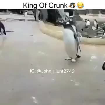 Literally Funny on TikTok