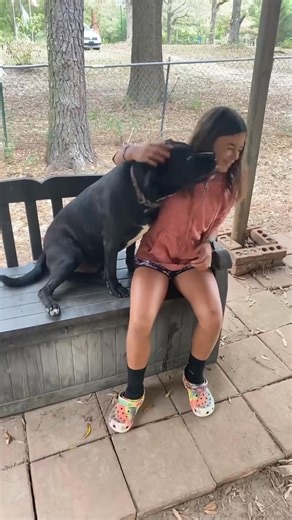 Chance loves to love when he chooses you💕🐾💕 | Dysfunction Junction Ranch GA