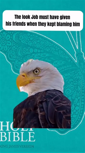 Finding humor in God or the word of God lately. I’ve been known Him in fear, but these days I’m learning that the bible is actually hilarious and yes, I still fear Him! #jesus #christian #wordofgod #bible | Dwelling In God