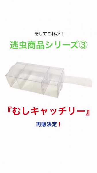 簡単・確実さでは「むしキャッチリー」も負けない❗#逃虫 #虫対策 #むしキャッチリー