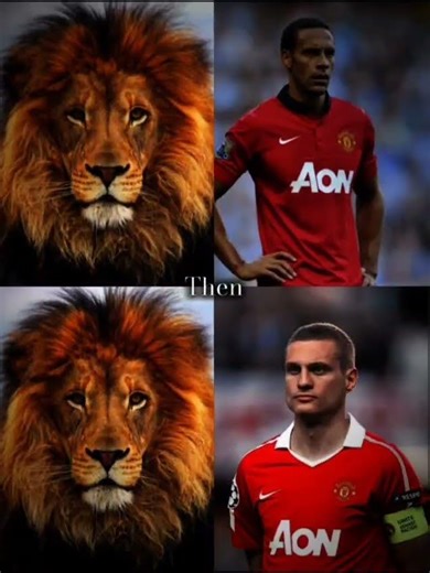 Manunited defence#manunited #maguire #vidic #delight #ferdinand
